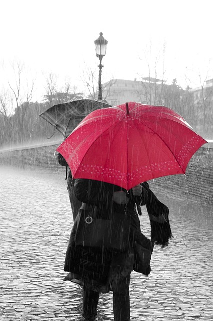 雨の日を快適に おしゃれで実用的な人気の傘 雨の日を快適に おしゃれで実用的な人気の傘